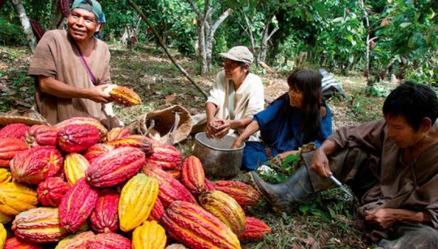 reactivación económica selva peru